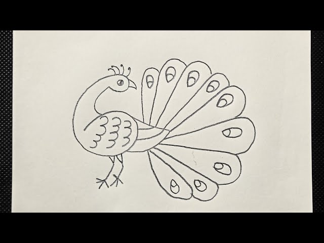 How to draw a Peacock for Beginners | Easy Peacock drawing with number 6 