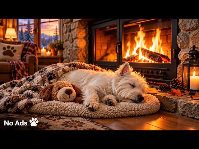 24 Hours Relaxing Music for Dogs 🐶💤 Deep Sleep, Anxiety & Stress Relief | No Ads