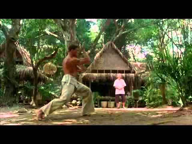 Kickboxer Advanced Training Extended