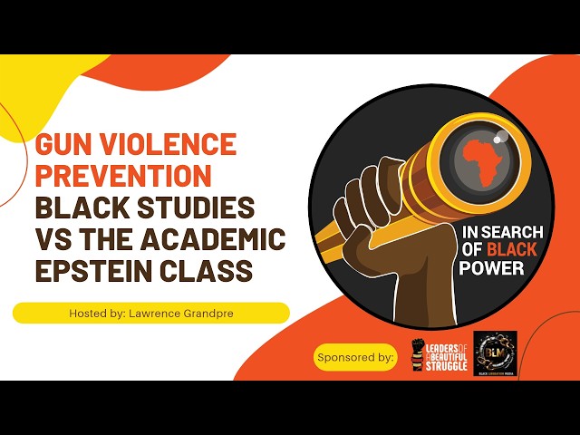 Gun Violence Prevention Black Studies vs  The Academic Epstein Class
