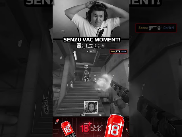 SENZU 😱