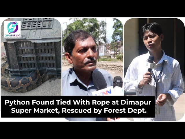 Python Found Tied With Rope at Dimapur Super Market, Rescued by Forest Dept.