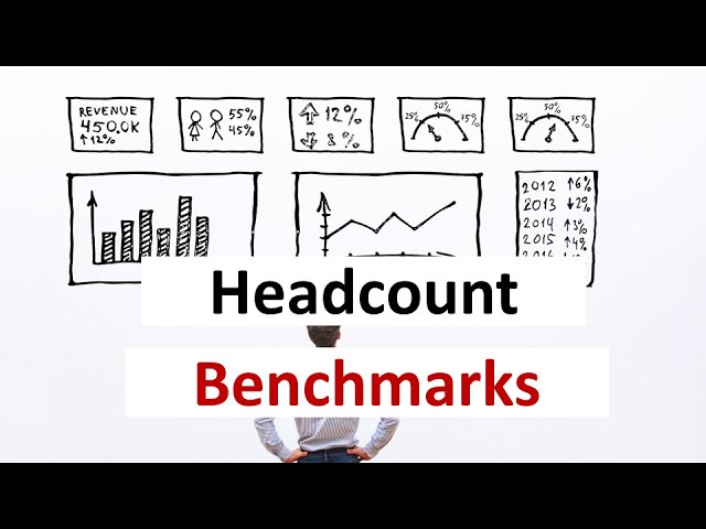 Benchmarks for Headcount & Workforce Optimization (consulting projects)