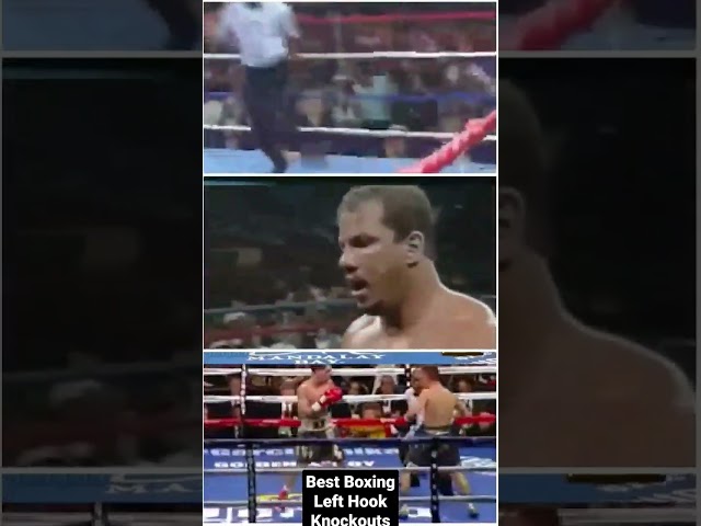 Unreal Knockouts!! Boxing's Best Left Hook Knockouts #youtubevideo #youtubeshorts
