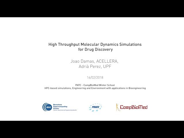 High Throughput Molecular Dynamics Simulations for Drug Discovery