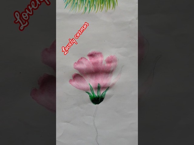 you never see this lovely cosmos #art #drawing #watercolor #subscribe #easydrawing #growth