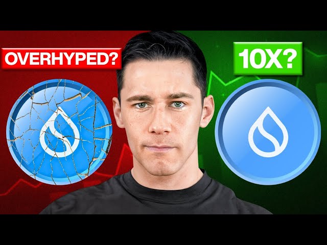 SUI Project Review — Why This Coin Could Be the Next Big Crypto Gem