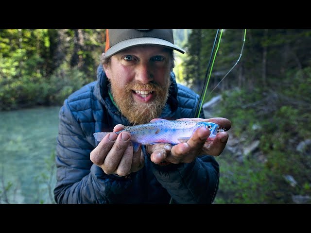 Fly Fishing Pink Trout At Secret Glacier Lake Day 7 Of 30 Day Survival Challenge Canadian Rockies
