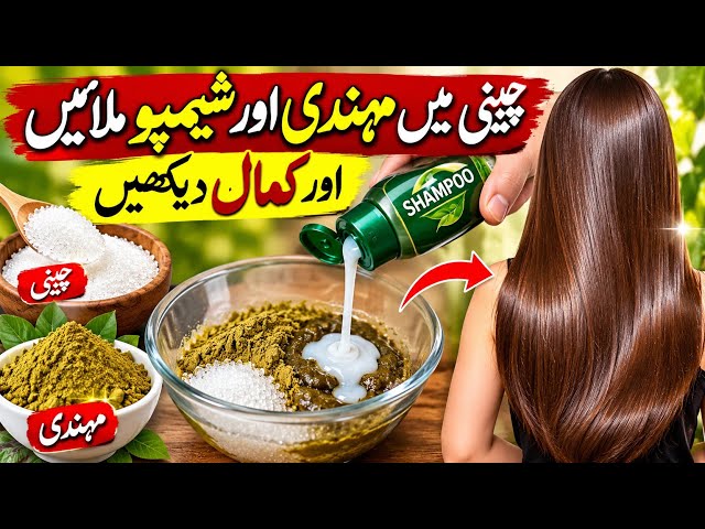 2in1 Dark Brown🤎Hair Dye & Dark Brown Shampoo😱| Chocolate brown hair dye By Kiran ki Remedies