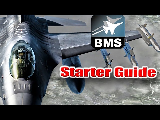 Falcon BMS: Everything You Need to Know to Get Started