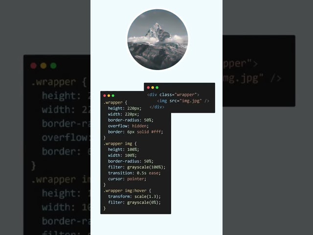 Image Hover Animation in html#html#css#shorts#viral