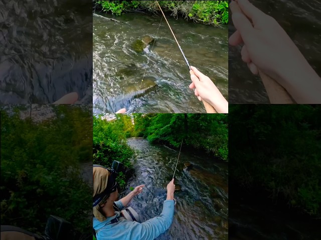 The Perfect Spruce Creek Drift🎣#shorts