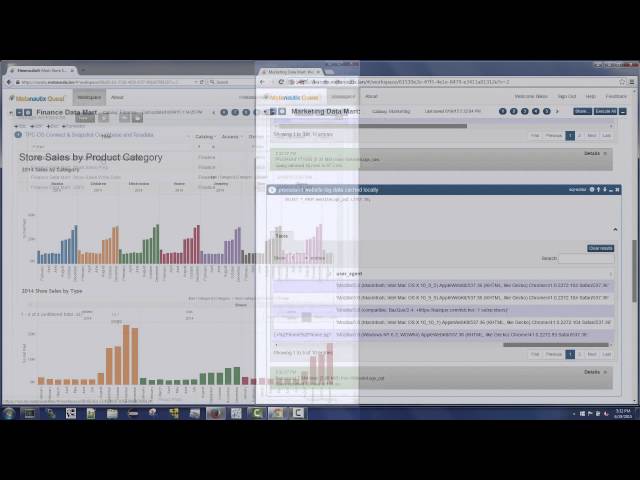 Metanautix Quest Software-Defined Data Marts