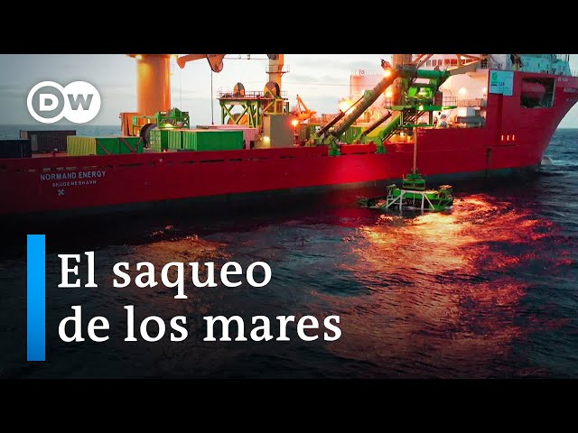 Un océano de codicia | DW Documental