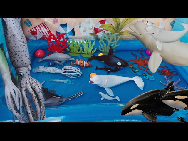 Water Animals in the Amazing Pool | Mama and Baby Sea Creatures in Amazing Pool | Toy Animals | Orca