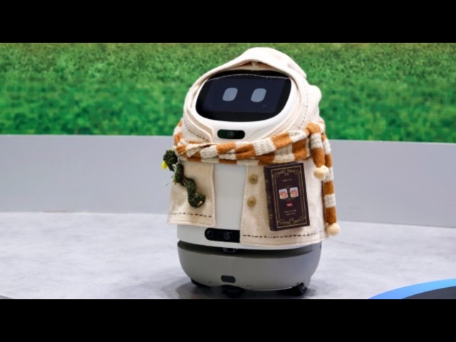 Tuya Doova AI Seniors Home Companion Robot Specifications