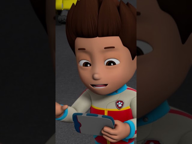 Hot Pie Cyclone wird von Skye und Rubble aufgehalten! - #PAWPatrol #Shorts Germany