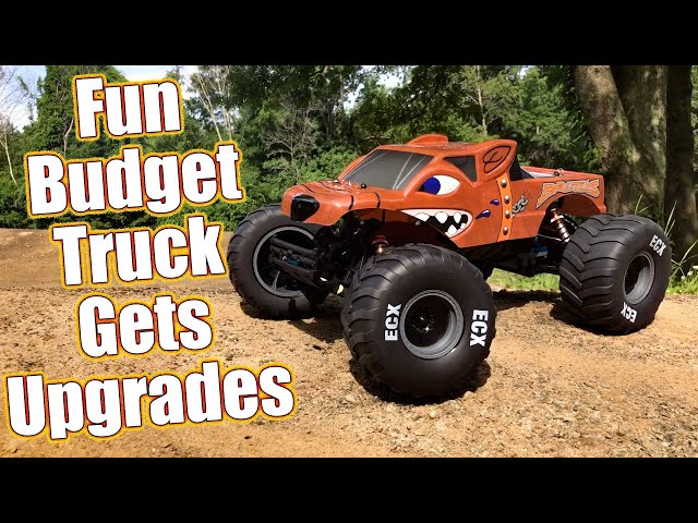 Unleashed! ECX Brutus 2wd RTR Monster Truck Review & Option Parts Overview | RC Driver