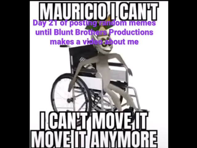 Day 21 of posting random memes until @BluntBrothersProductions makes a video about me #shorts