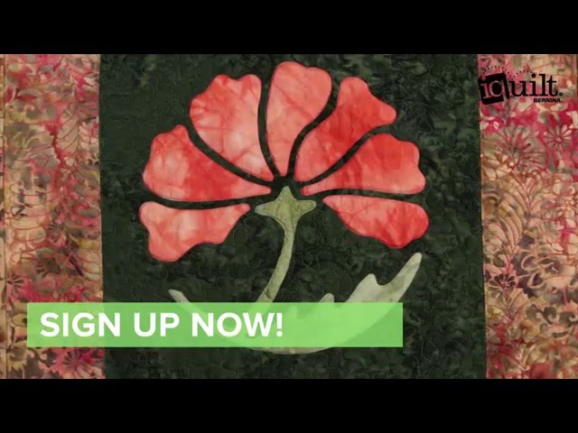 Appliqué in Reverse iquilt Course