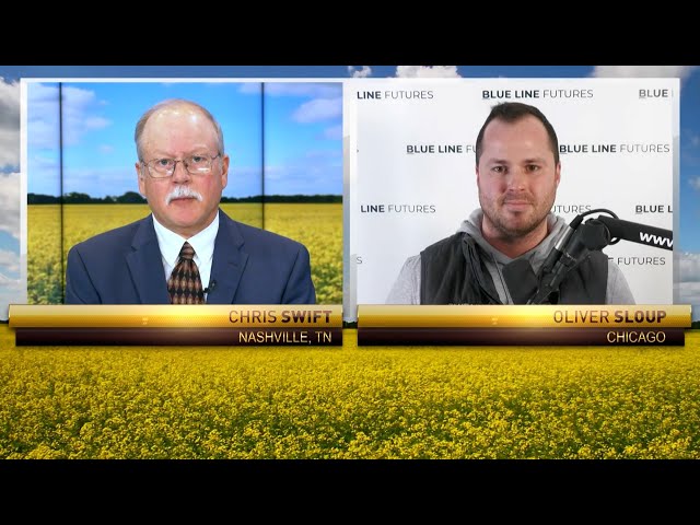 Grain Prices Continue to Slide Lower.  Where's the Bottom?