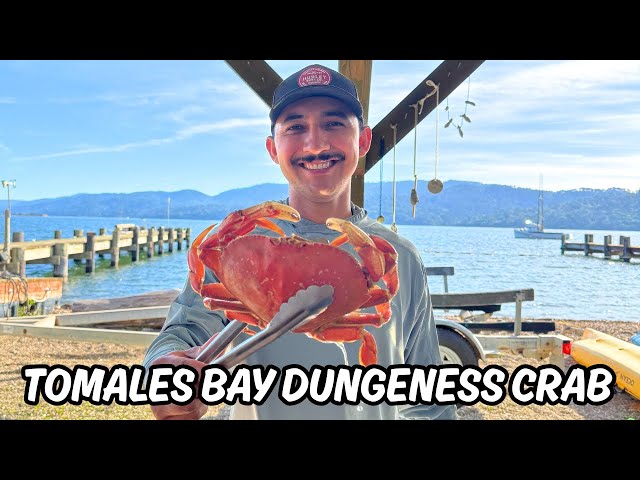 Tomales Bay Dungeness Crab November 2025