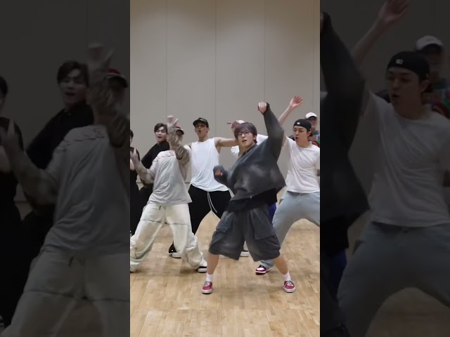 SEVENTEEN 'LOVE, MONEY, FAME' Dance Practice #MIRRORED