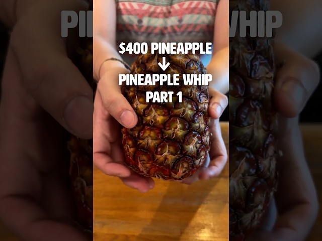 $400 Pineapple Whip Part 1