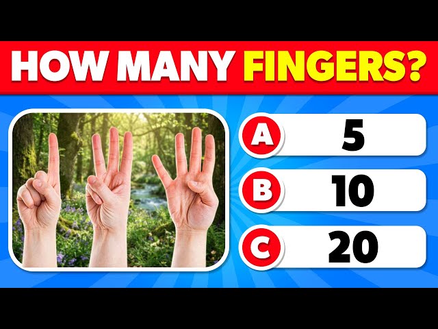 50 Questions Everyone Should Know | General Knowledge Quiz