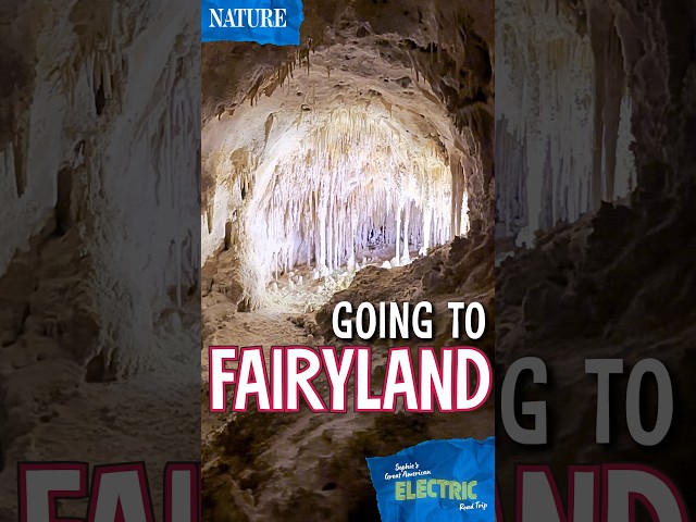 What are these “cave fairies”?