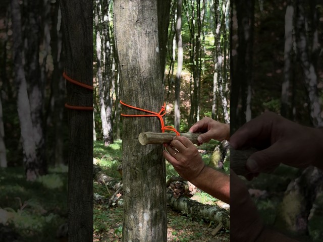 This Secret Rope Trick Actually Works in the Wild. #camping #survival #skills
