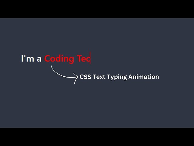 Text Animation In CSS | Multiple Text Typing Animation