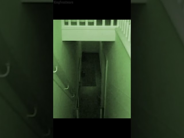 Something Is Living In Their Basement... #scary #paranormal