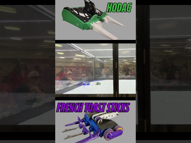 Hodag fights French Toast Sticks at Harbor City Riot