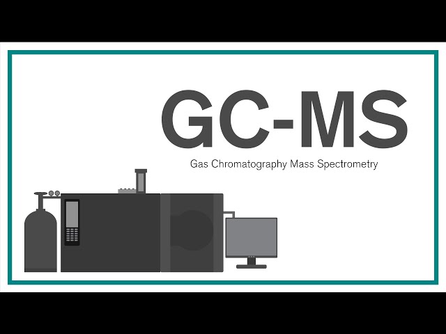 GC-MS
