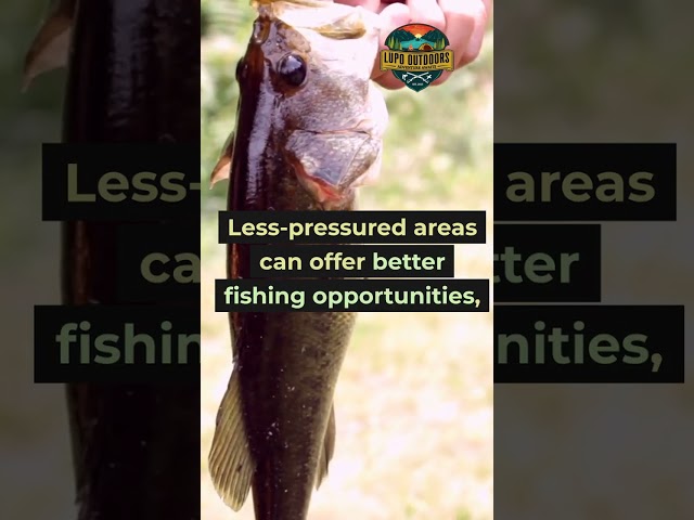 The Pressure Problem Nobody Talks About #fishing #bassfishing #technique #shorts
