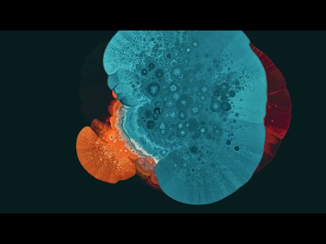Joris Voorn - When The Soul Remains [Official Visualiser]