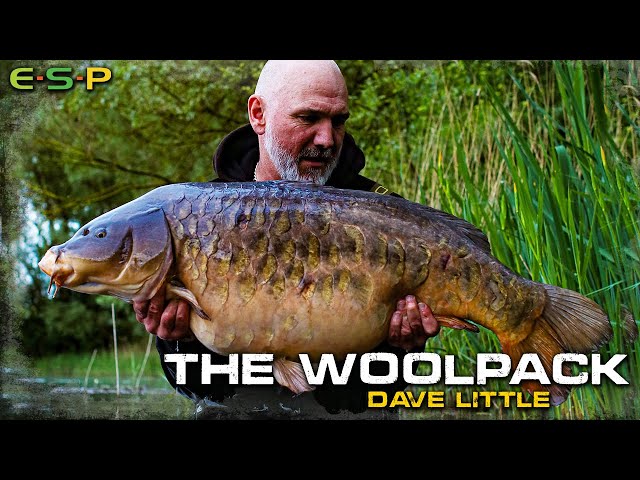 The Woolpack Campaign | Dave Little | Carp Fishing