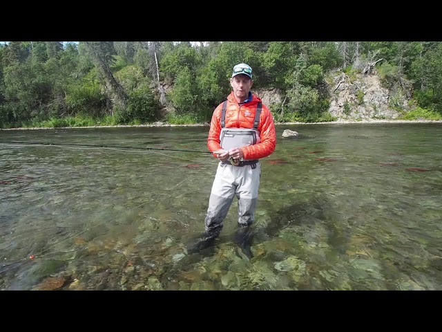 Matching the Sockeye Egg Hatch