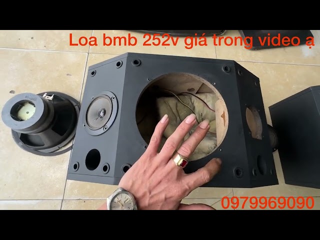 Loa bmb 252v