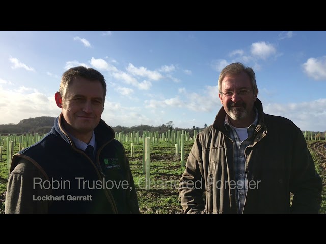 HS2 Woodland Fund - Case Study