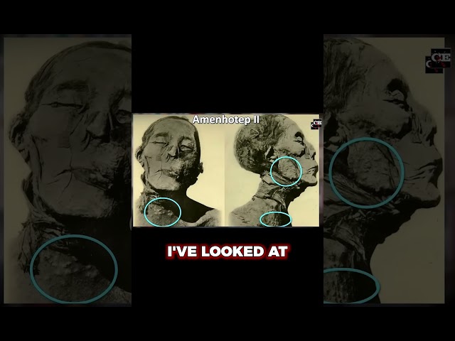 What Happened to This Mummy? with Dr. Titus Kennedy