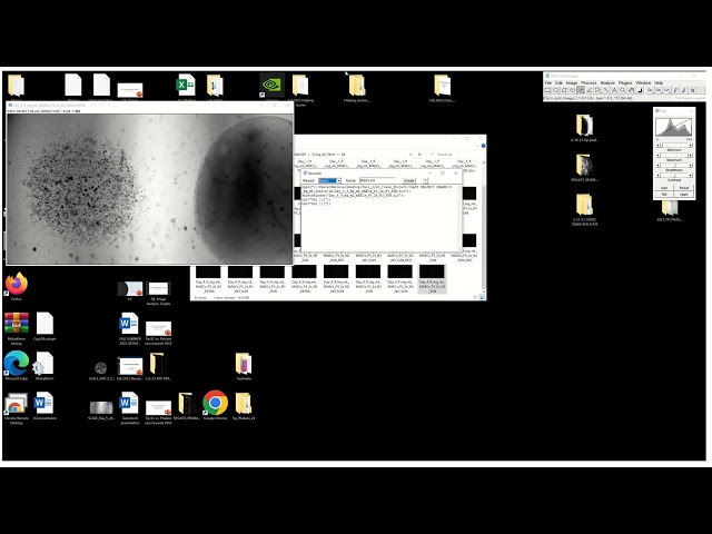 1. How to create a macro: Fiji image analysis: How to automate: batch processing