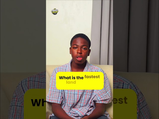 Thursday Trivia is on! 🧠✨