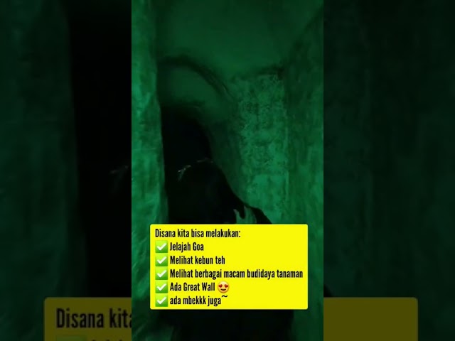 Jelajah #CIGWAIndonesia Cisarua Puncak