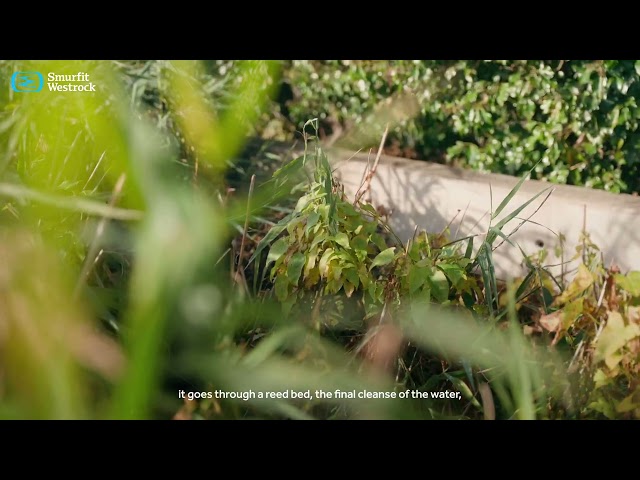 Waste Reduction at Smurfit Westrock Diss | Continuous Improvement in Action