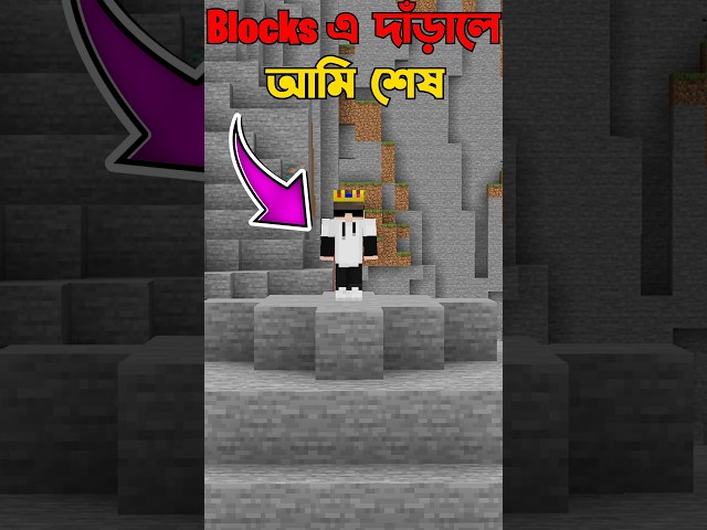 Minecraft But You Can Control My Blocks #minecraft