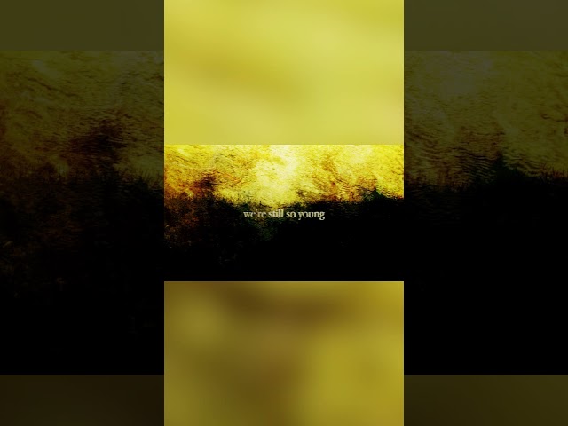 Editors - 'Seriously' (Official Lyric Video) #Shorts
