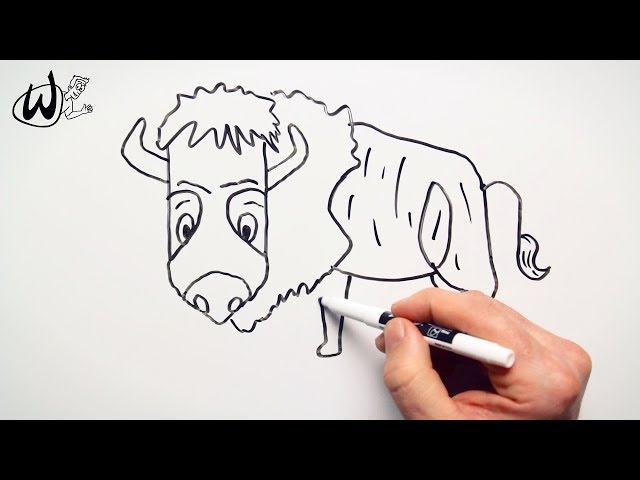 How to Draw a Bison - Drawing Doodle Words to Cartoon