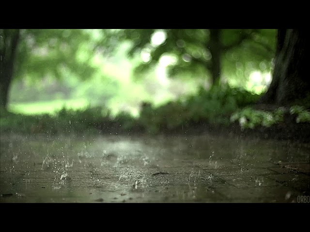 Paradelous - Colorain (2010)